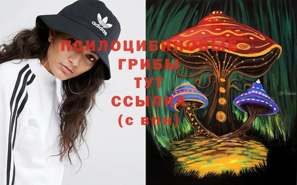 скорость Алексин