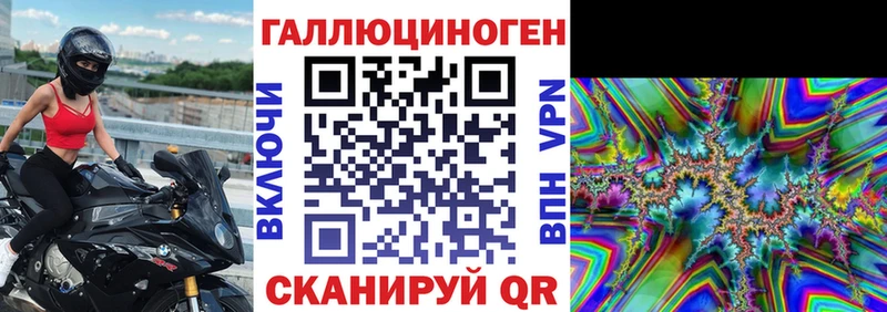 где можно купить наркотик  Димитровград  ссылка на мегу ссылка  Галлюциногенные грибы мицелий 
